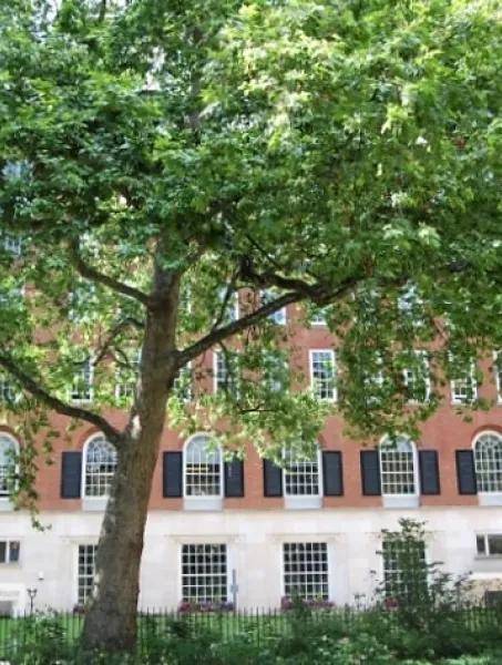 A red brick building with large windows is partially obscured by lush green trees in the foreground. The scene feels serene and summery.