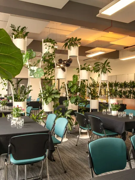 Woburn House Sakura Café