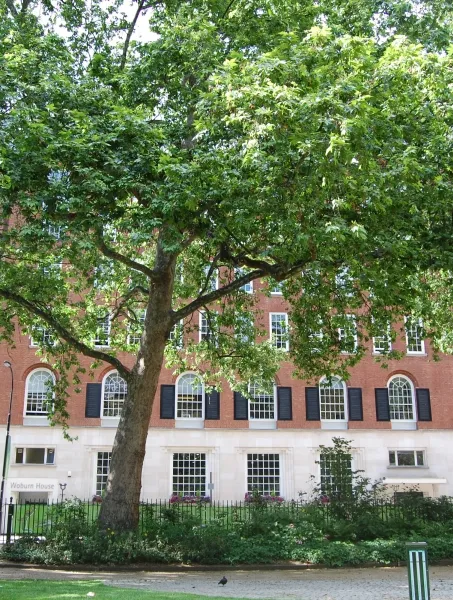 Welcome to Woburn House