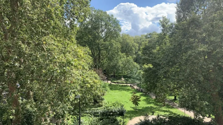 A lush green park with winding paths and large trees under a partly cloudy blue sky. The scene is peaceful, evoking a sense of tranquility and nature.